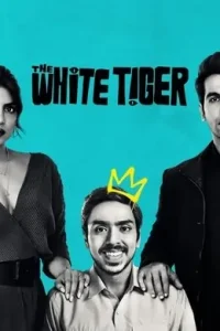 The White Tiger (2021) New Bollywood Hindi Full Movie BollyFlix