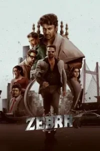 Zebra 2025 Hindi + Telugu South Movie BollyFlix